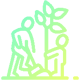 Tree Plantation